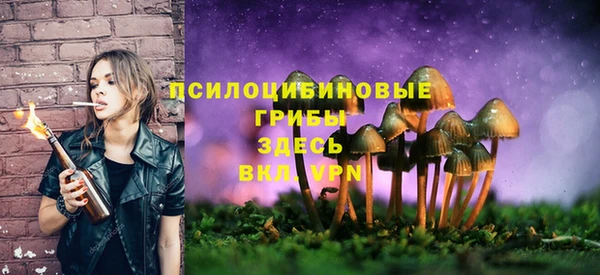 spice Алзамай