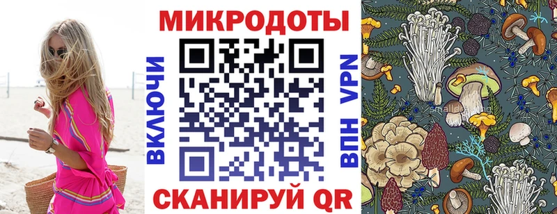 Галлюциногенные грибы Cubensis  даркнет какой сайт  Ейск 